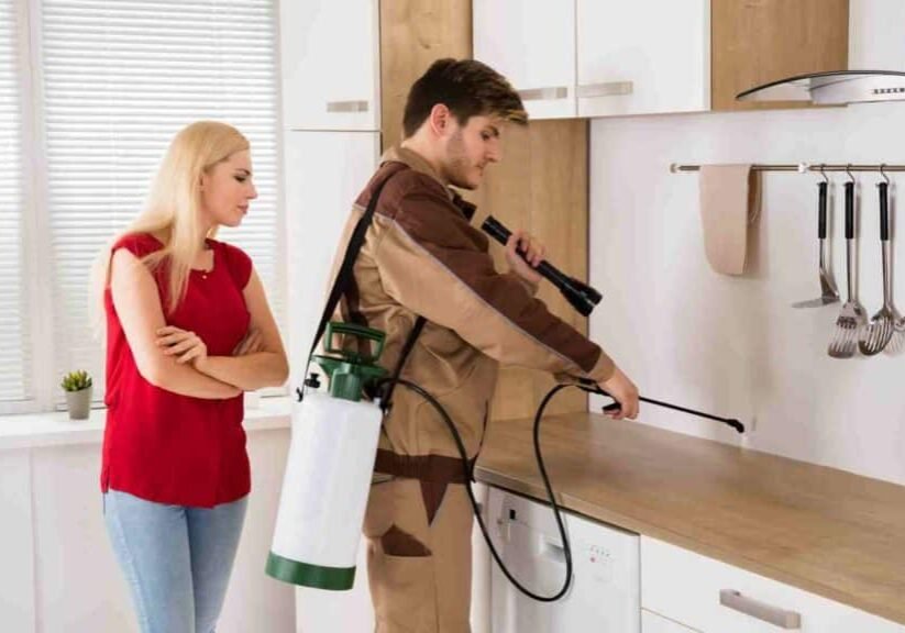 Advanced Ant Exterminator
