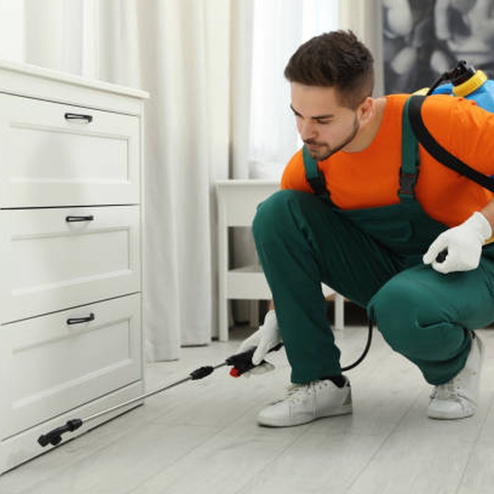 Ant Exterminator