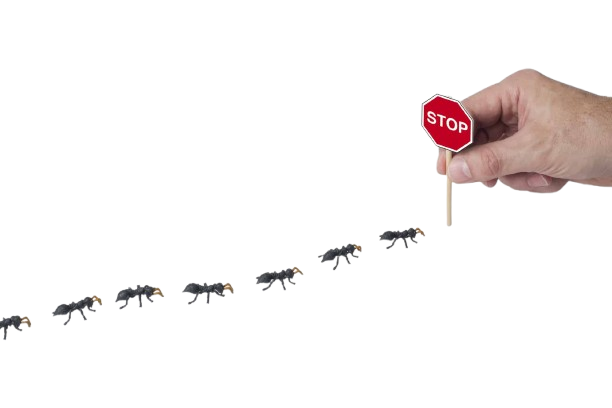 pest-control