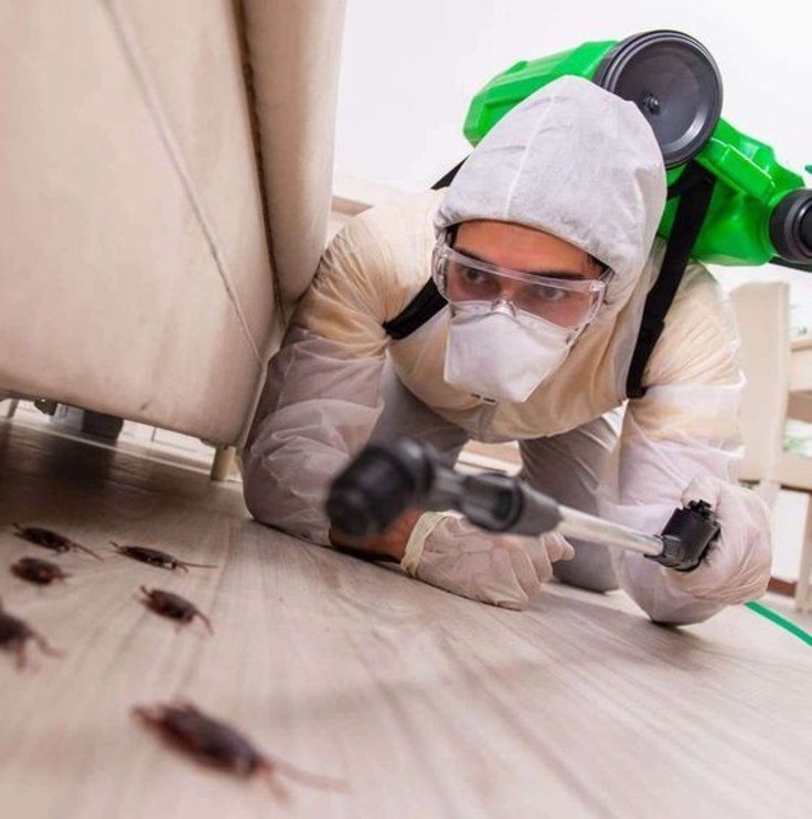 Cockroach Exterminations
