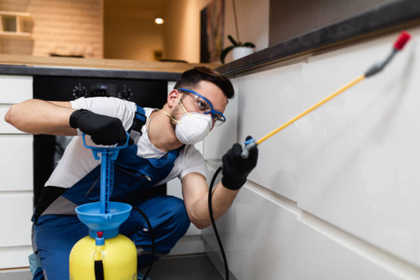 Professional Pest Control Service in Toronto