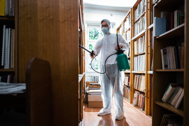 Professional Pest Control Service in Toronto