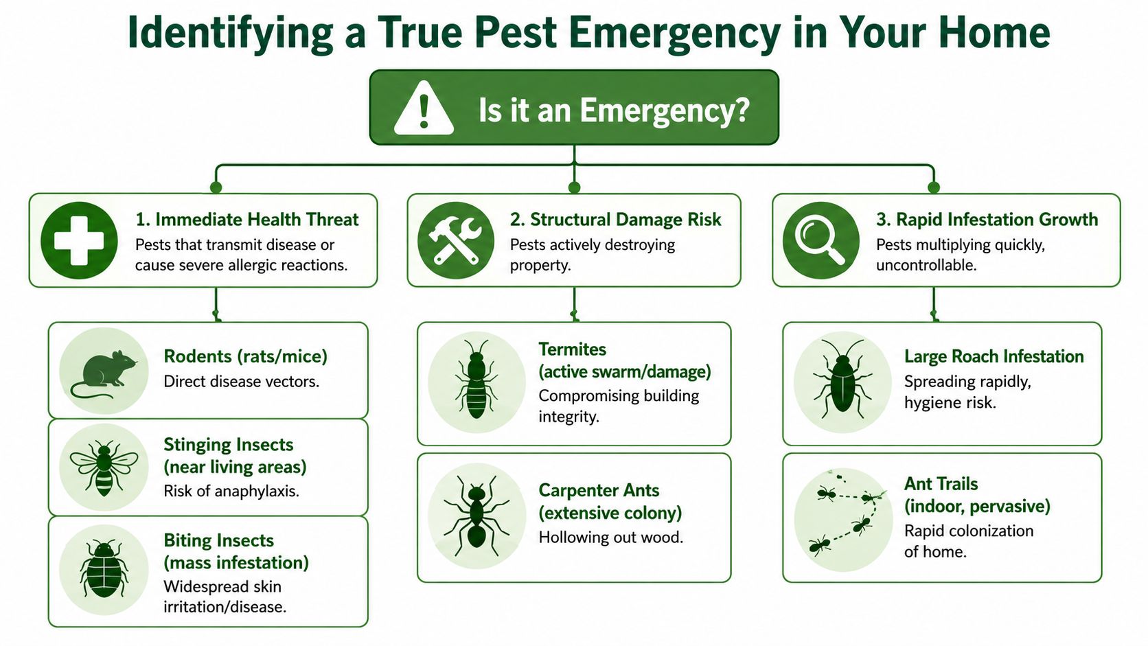 A flowchart explaining how to identify a true pest emergency in the home with examples.