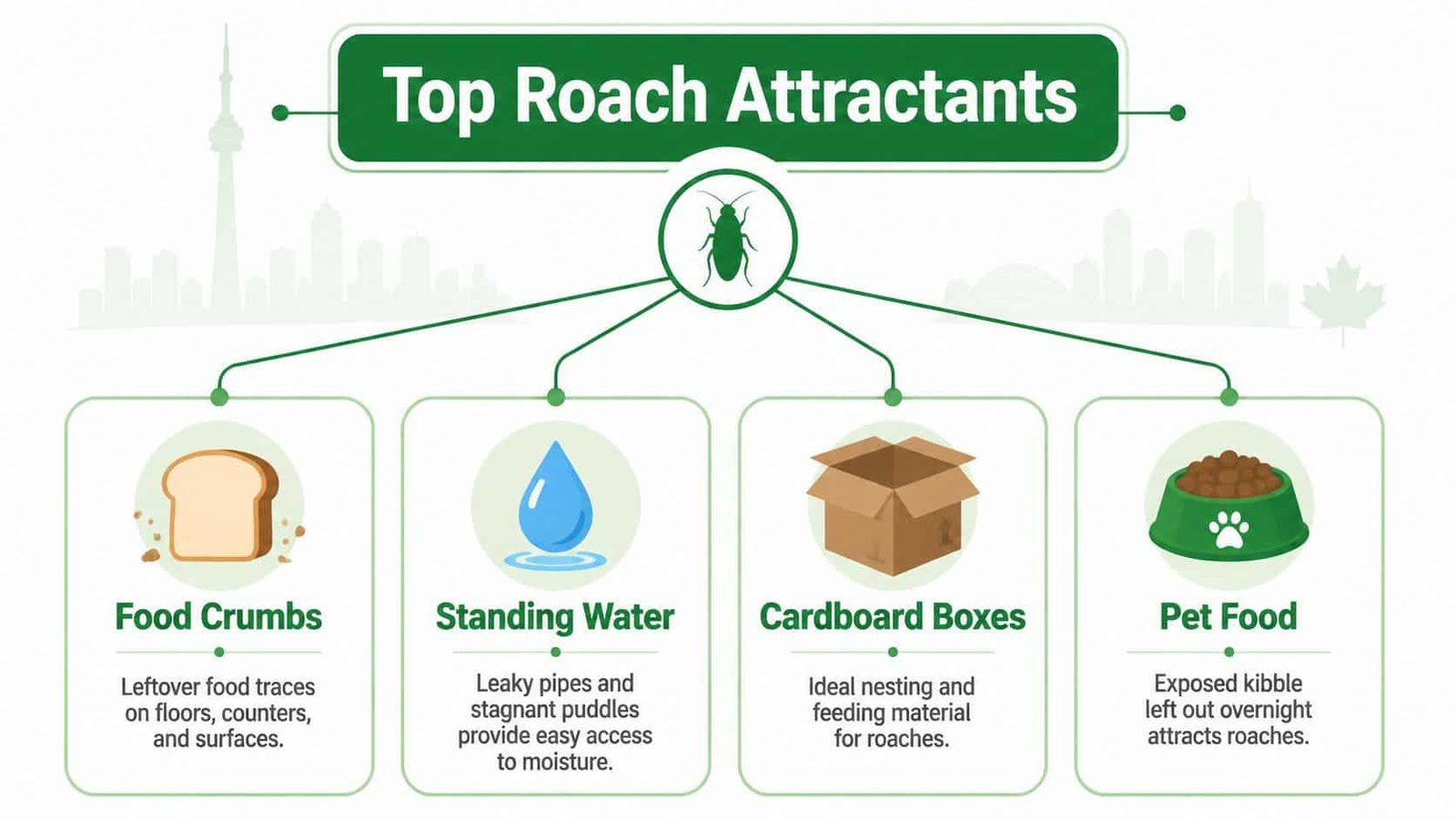 An infographic detailing common household items that attract cockroaches, such as food crumbs, water, and cardboard.