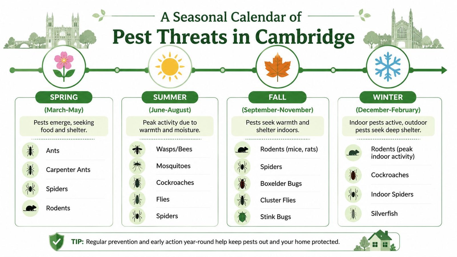 An informative seasonal calendar infographic illustrating common pest threats in Cambridge throughout the four seasons of the year.