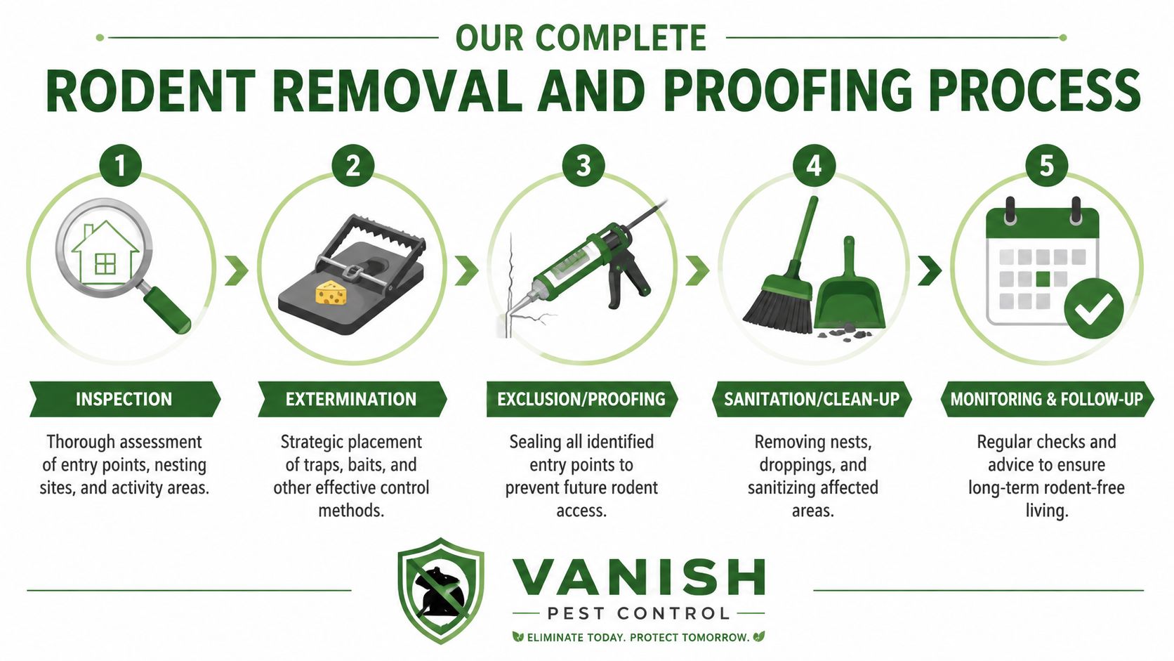 A step-by-step infographic showing the five stages of a professional rodent removal and pest control process.