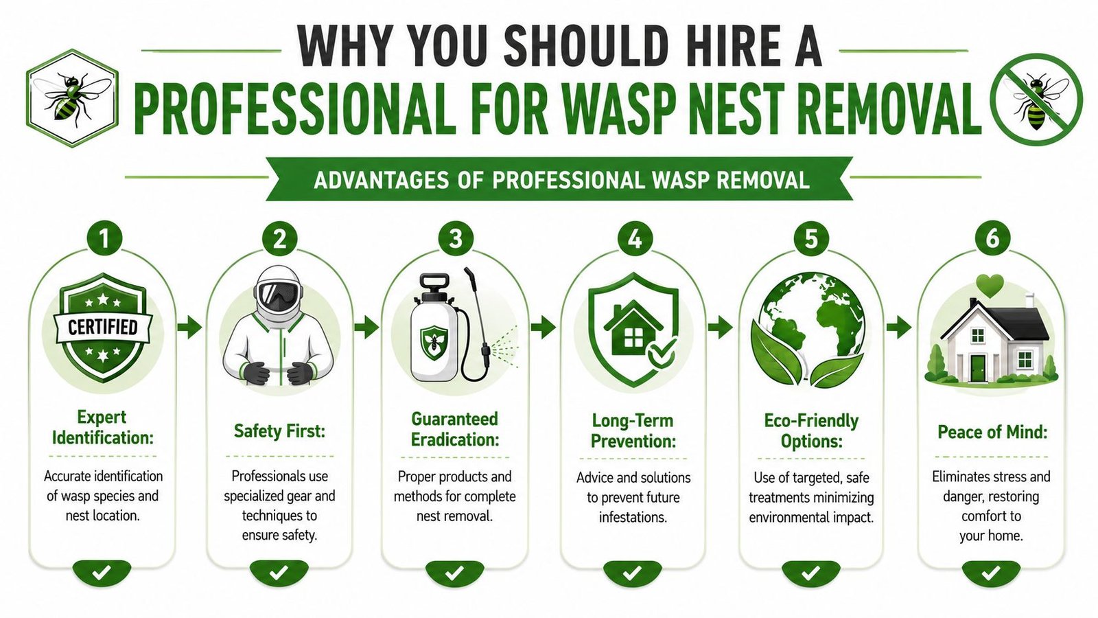 An infographic detailing six key benefits of hiring professional services for effective wasp nest removal.