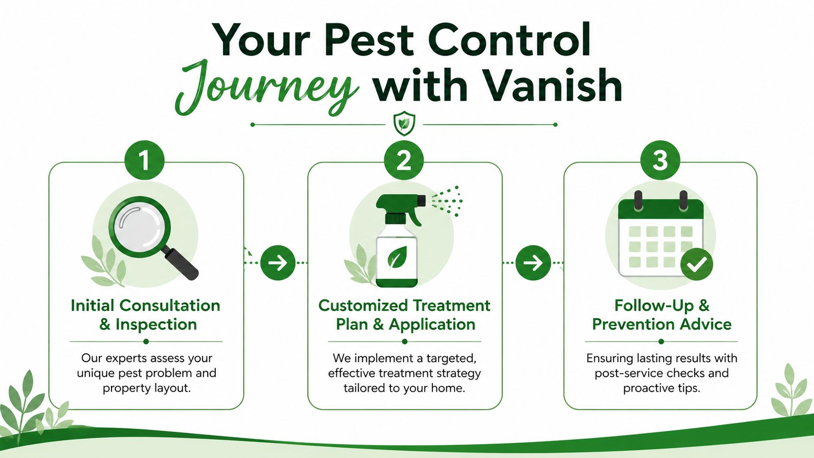 Exterminator Newmarket 2 A three-step infographic showing the Vanish pest control process including consultation, treatment, and follow-up services.