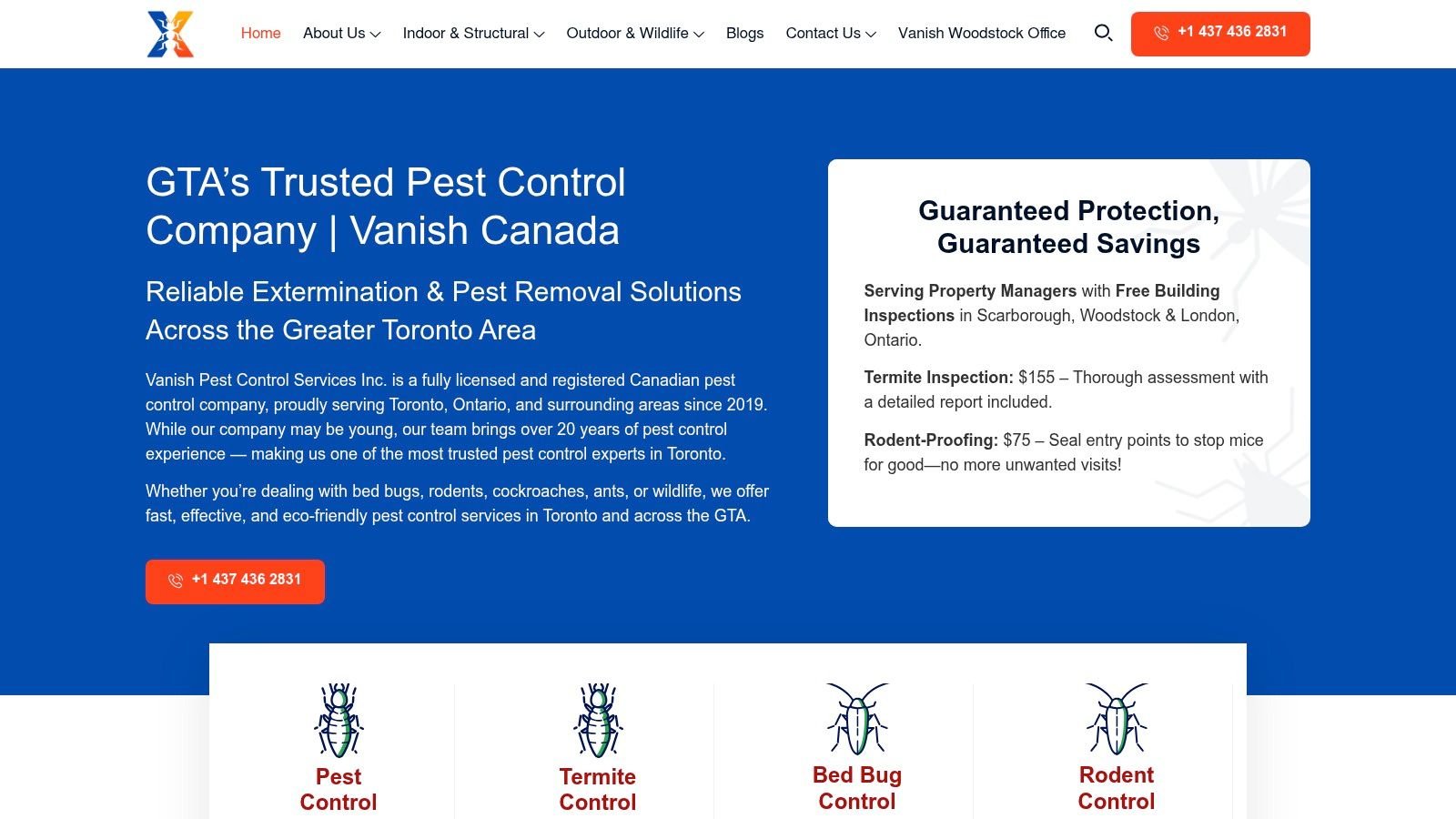 How to Get Rid of Mice in Wall: A Toronto Homeowner's Guide 4 Screenshot from https://vanishcanada.com