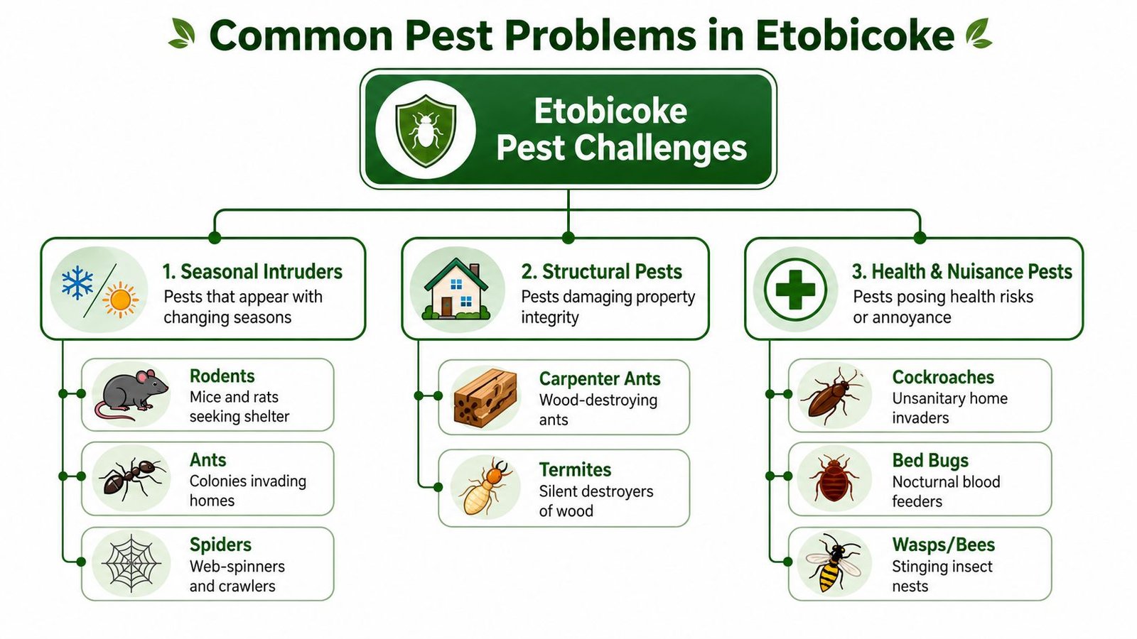 An infographic showing common pest categories in Etobicoke including seasonal, structural, and health nuisance pests.