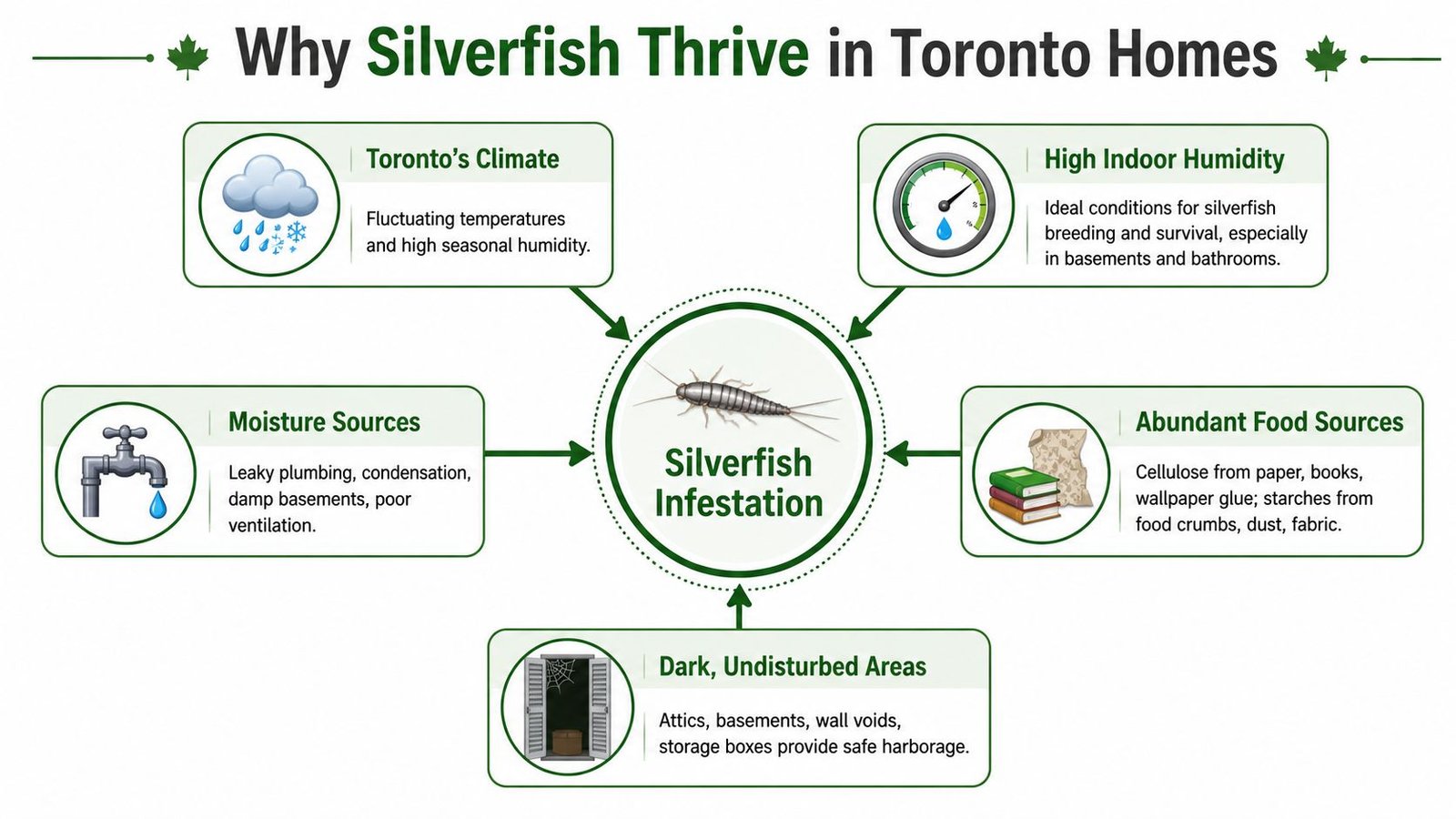 Pest Control for Silverfish: A Toronto Homeowner's Guide 1 An infographic showing factors contributing to silverfish infestations in Toronto homes, including humidity and food sources.
