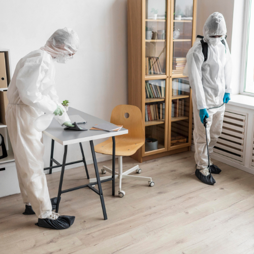 Bed Bug Treatment Scarborough