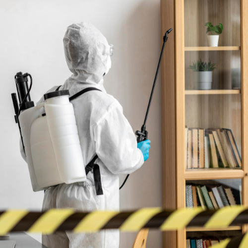 Commercial ant control London services