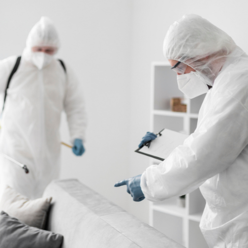 Bed bug exterminator near me
