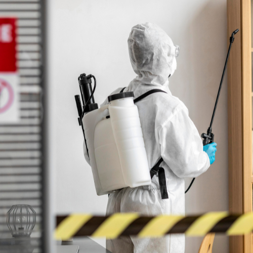 Exterminator Mississauga Ontario