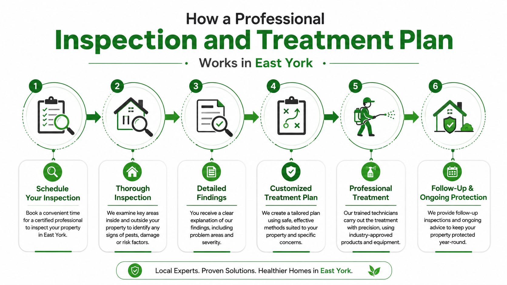 Pest Control East York: Fast, Eco-Friendly Help 3 A six-step infographic detailing the professional pest inspection and treatment process for homeowners in East York.